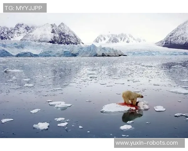 全球气候变化加剧各地极端天气频发 专家呼吁加强应对措施保护生态环境